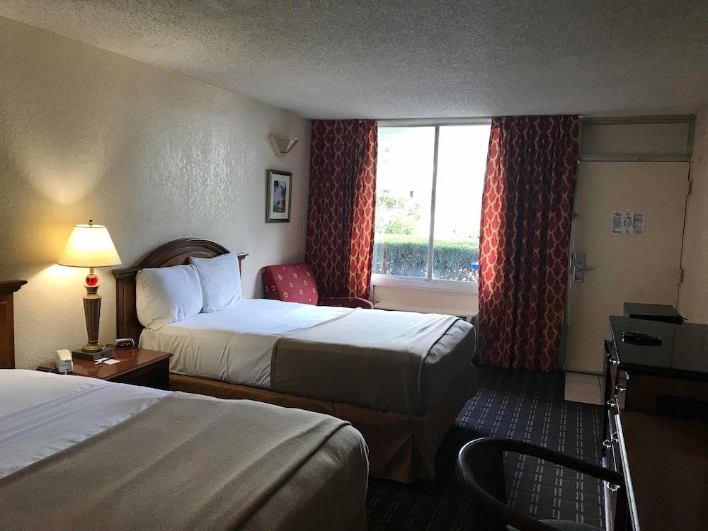 Quality Inn Tampa Lake Magdalene Dış mekan fotoğraf