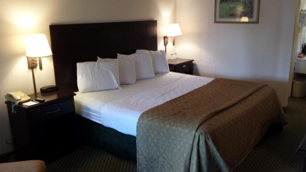 Quality Inn Tampa Lake Magdalene Oda fotoğraf