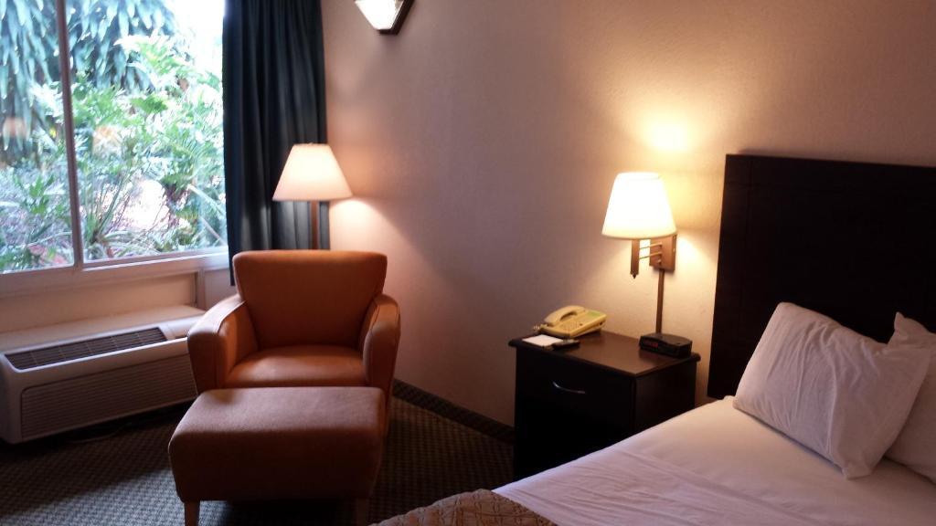 Quality Inn Tampa Lake Magdalene Oda fotoğraf